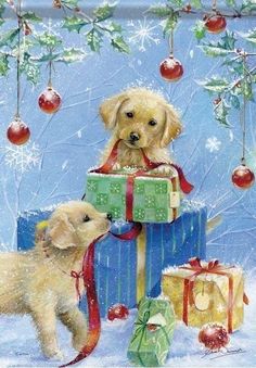 two puppies with presents under a christmas tree