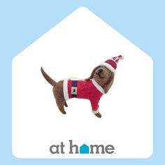 a brown dog wearing a red and white sweater with a santa hat on it's head