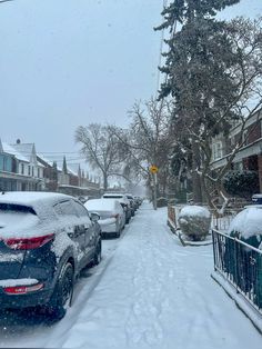 cars parked on the side of a snow covered street in front of houses and trees