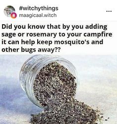 a jar filled with lots of green stuff next to a person's face and the caption says, did you know that by adding sage or rosemary to your campfire it can help mosquito