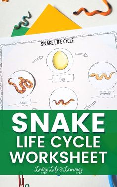 the snake life cycle worksheet is shown with scissors and other items on it