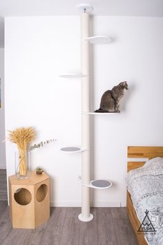 a cat sitting on top of a white shelf next to a bed in a room