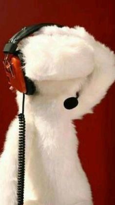 a stuffed polar bear wearing headphones and listening to music