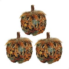 three decorative pumpkins with feathers on them