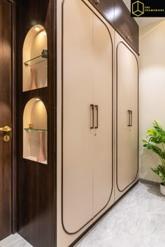 a closet with glass shelves in it and a potted plant on the wall next to it