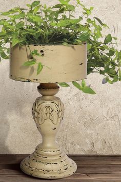 a potted plant sitting on top of a wooden table