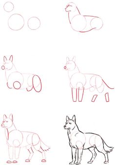 four different types of animals are shown in this drawing lesson for children to learn how to draw