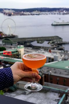 a person holding up a wine glass in front of a cityscape and water