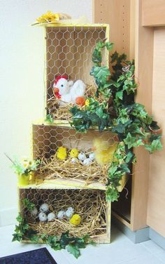 a shelf with some plants and eggs in it