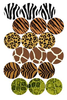 an assortment of animal print designs on white paper with green and brown circles in the middle