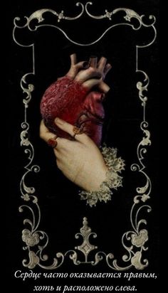 an image of a heart being held by two hands