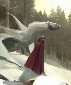 a woman in a red cape standing next to a white bird with its wings spread