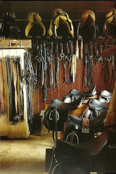 there are many different types of saddles hanging on the wall