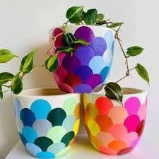 three potted plants sitting on top of a white table next to each other,