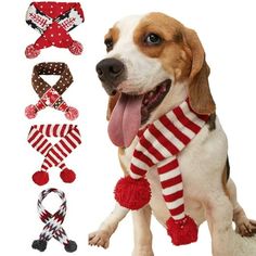 a dog with its tongue hanging out next to some christmas hats and scarfs on it's head