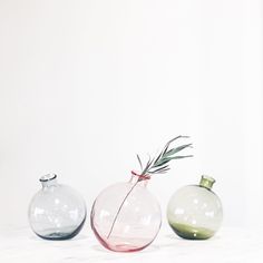 three vases with plants in them sitting on a counter top next to each other