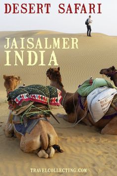 a man standing next to two camels in the desert with text overlay that reads, desert safari jasalmer india