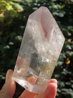 a person holding up a large crystal object in their hand with trees in the background