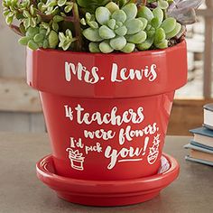 there is a red pot with some plants in it