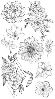 flowers are drawn in black and white on a white background, with the outlines for each