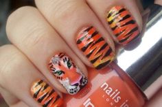 Lion nails Tiger Stripe Nails, Tiger Nail Art, Lion Nails, Animal Nail Designs, Nail Art Stripes, Animal Nail Art, Finger Nail Art, Nail Blog