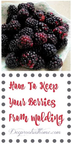 blackberries in a bowl with the words how to keep your berries from molding