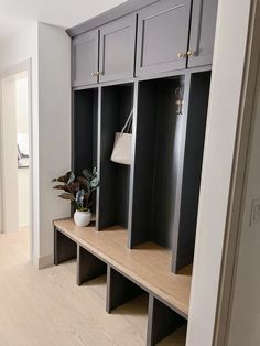 an entryway with several gray cabinets and a plant in a white vase on the bench