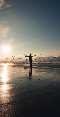 a man standing on top of a beach next to the ocean with birds flying above him