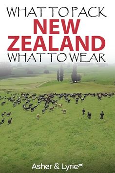 what to pack new zealand what to wear