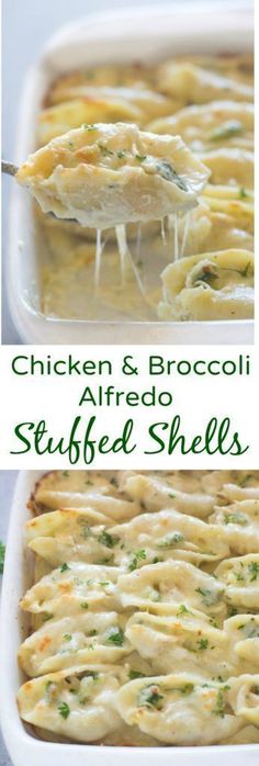 chicken and broccoli alfredo shells in a casserole dish