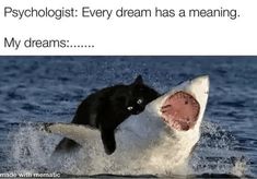 a cat riding on the back of a shark with its mouth open and tongue out