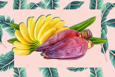 an image of bananas and flowers on a pink background