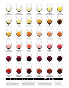 a wine glass filled with different types of wine in it's glasses, including red and white wines