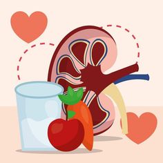 Nephrologist In Noida World Kidney Day, Water Vector, Human Organ, Chronic Kidney, Body Cells, Kidney Health, Animal Protein, High Blood Sugar