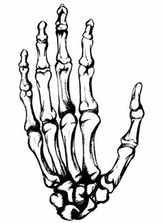 a skeleton hand is shown in black and white