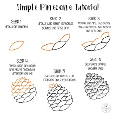 instructions for how to draw pinecone cones in simple lines, with step by step instructions