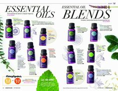 an image of essential oils for hair and body in the magazine's article about essential oils