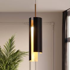 a black and gold pendant light hanging from a ceiling in a living room next to a potted plant