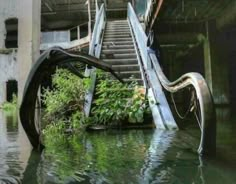 an escalator that has been partially submerged in water with plants growing out of it