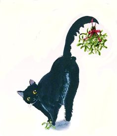 a black cat walking in the snow with a plant hanging from it's back