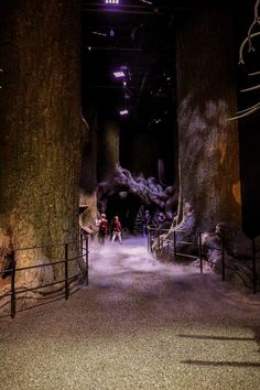 two people are standing in the middle of a dark tunnel with trees on either side