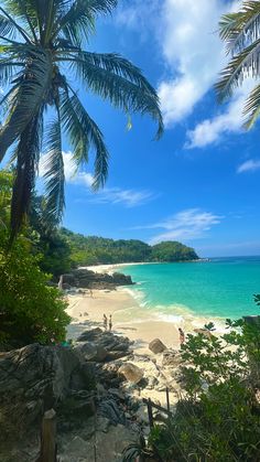 the beach is surrounded by palm trees and clear blue water, with people on it