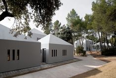 two white houses with black shutters on the front and one in the back, surrounded by trees