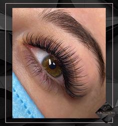 Lash Extension Salon, Natural Lash Extensions, Lashes At Home, Best Eyelash Extensions, Types Of Eyelash Extensions, Eyelash Extensions Classic, Natural Fake Eyelashes, Russian Lashes, Eyelash Extensions Styles