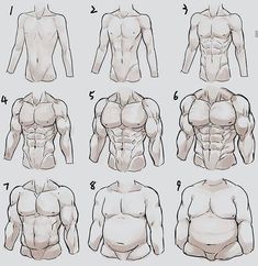 how to draw a man's torso and chest