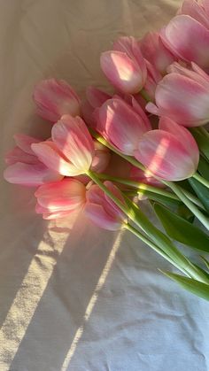 a bunch of pink tulips sitting on top of a white sheet