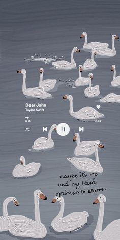 a group of swans floating on top of a body of water next to each other