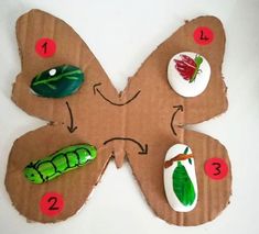 a butterfly made out of paper with buttons on it's wings and the numbers 1, 2, 3