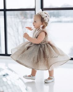 Gold Baby Dress, Fairy Princess Costume, Cake Photoshoot, Birthday Baby Girl, Baby Birthday Dress, Dress Glitter, Smash Cake Photoshoot, Birthday Girl Dress, Toddler Birthday