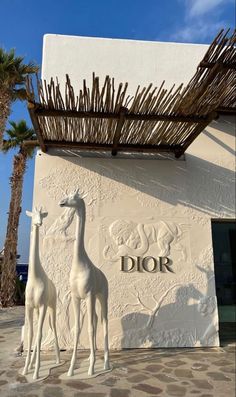 two giraffes are standing in front of a building with a sign that says dior